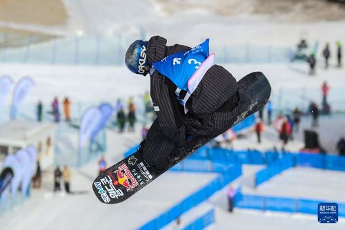 单板滑雪 u型场地世界杯 男子组赛况